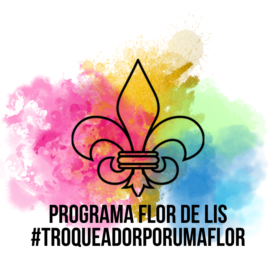 Flor de Lis Imagem Principal